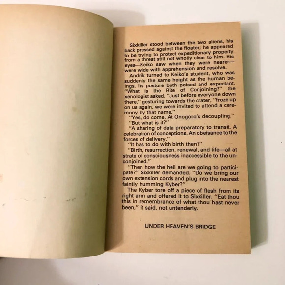 Under Heavens Bridge and The  Adam Experiment Books - Picture 8 of 16